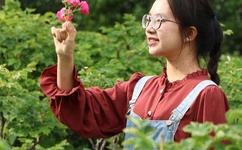 无码骚夜夜精品